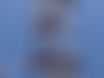 La pensée du jour...