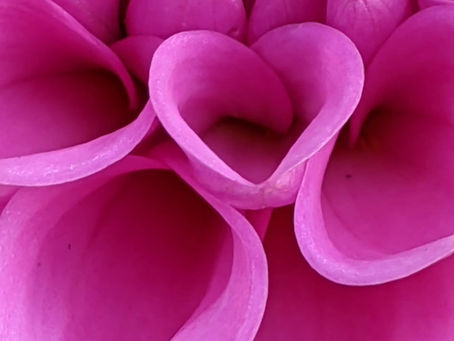 La pensée du jour...