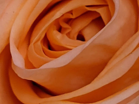 La pensée du jour...