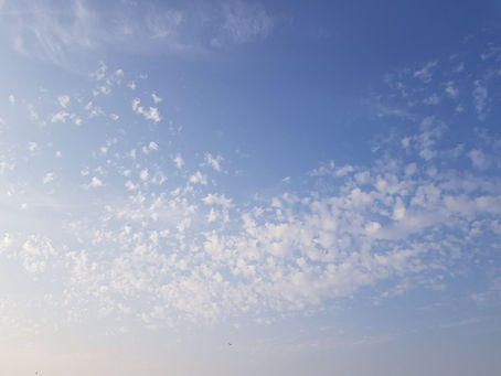 La pensée du jour...