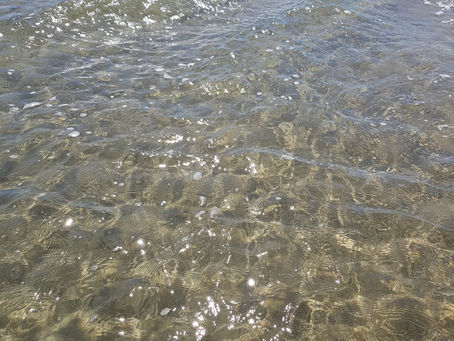 La pensée du jour...