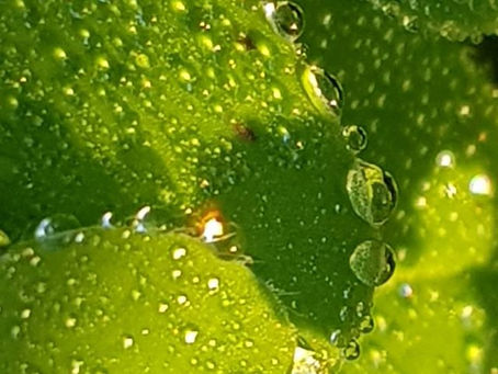 La pensée du jour...