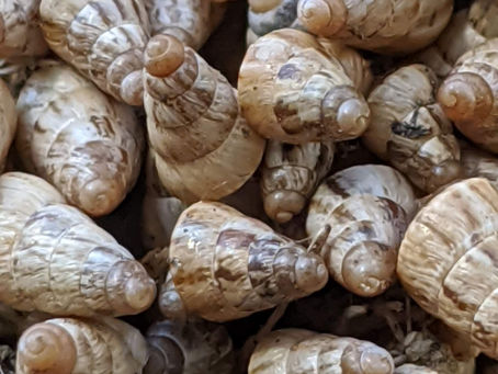 La pensée du jour...