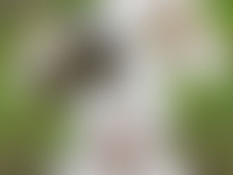 La pensée du jour...