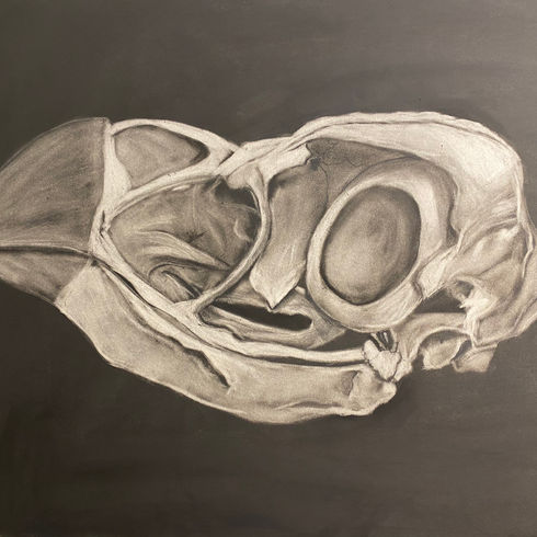 Illustrative Art Compilation
