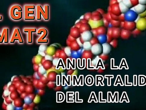 EL GEN VMAT2 DERRUMBA LA INMORTALIDAD DEL ALMA Y LA TEOCRACIA DEL SIGLO 21