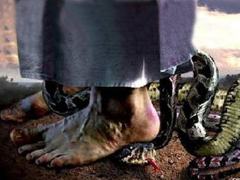 CUMPLIENDO LA PROFECIA DE GENESIS 3 VERSICULO 15