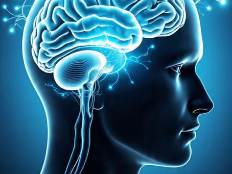 Neuroscience at Night: Unlocking the Brain After Dark