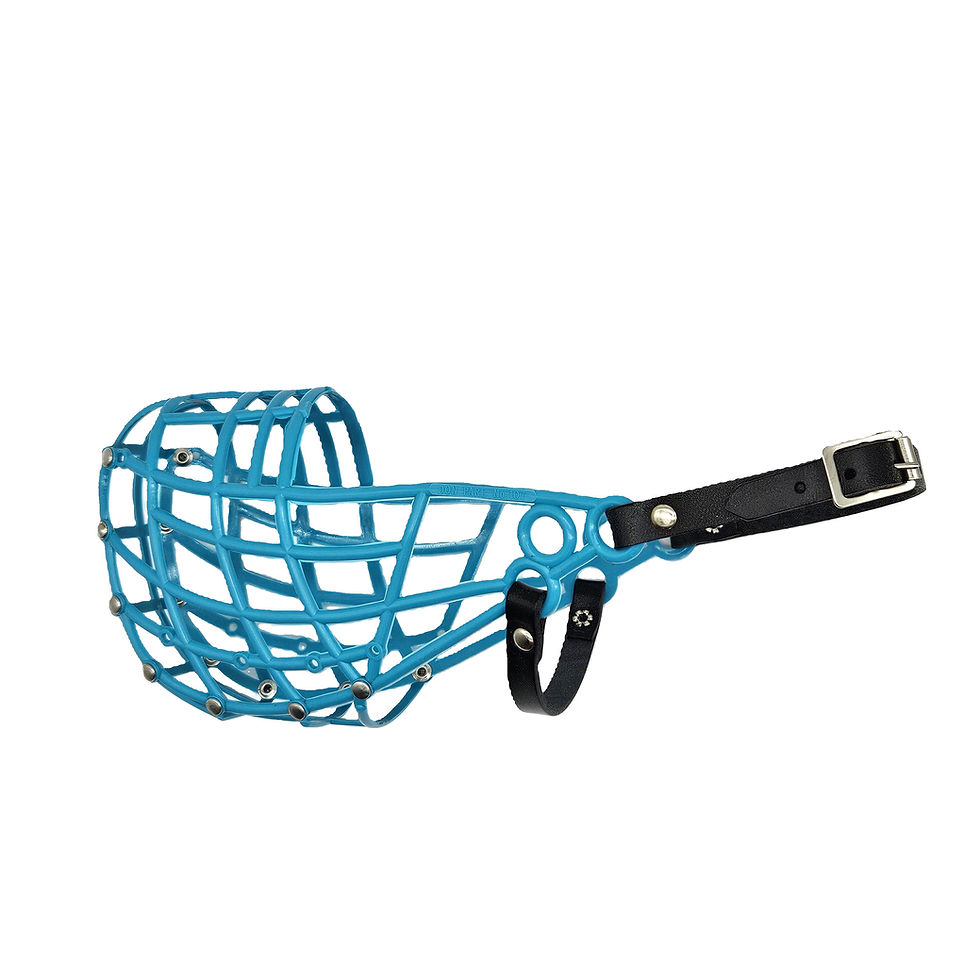Miniaturbild: Grosser Coursingmaulkorb teal