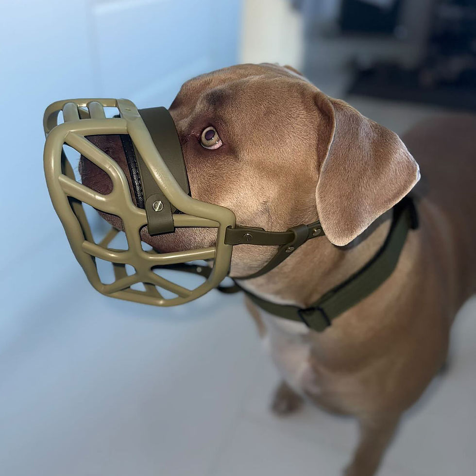 Miniaturbild: The Muzzle Movement "Harry" khaki