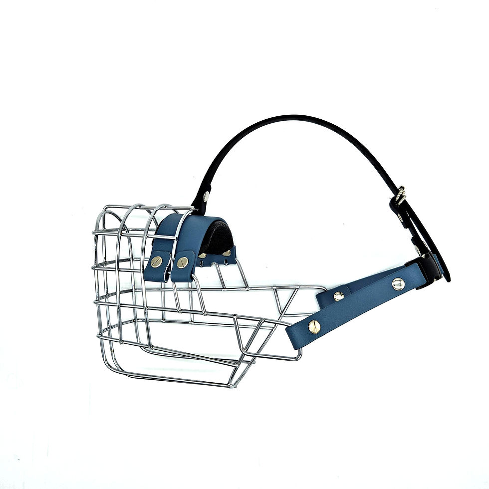 Miniaturbild: Stirnriemen Biothane