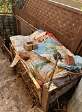 Bin Compost