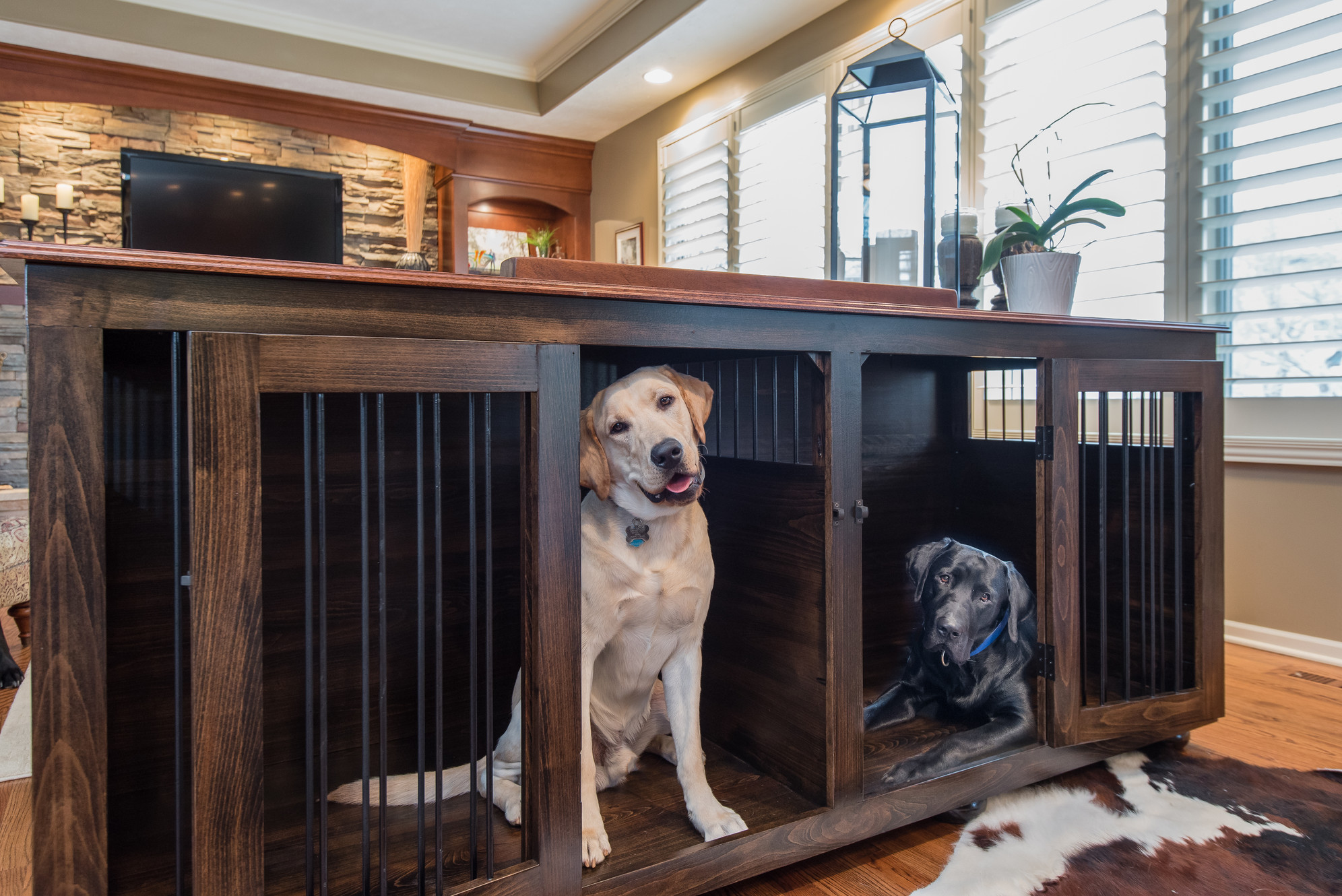 custom kennels