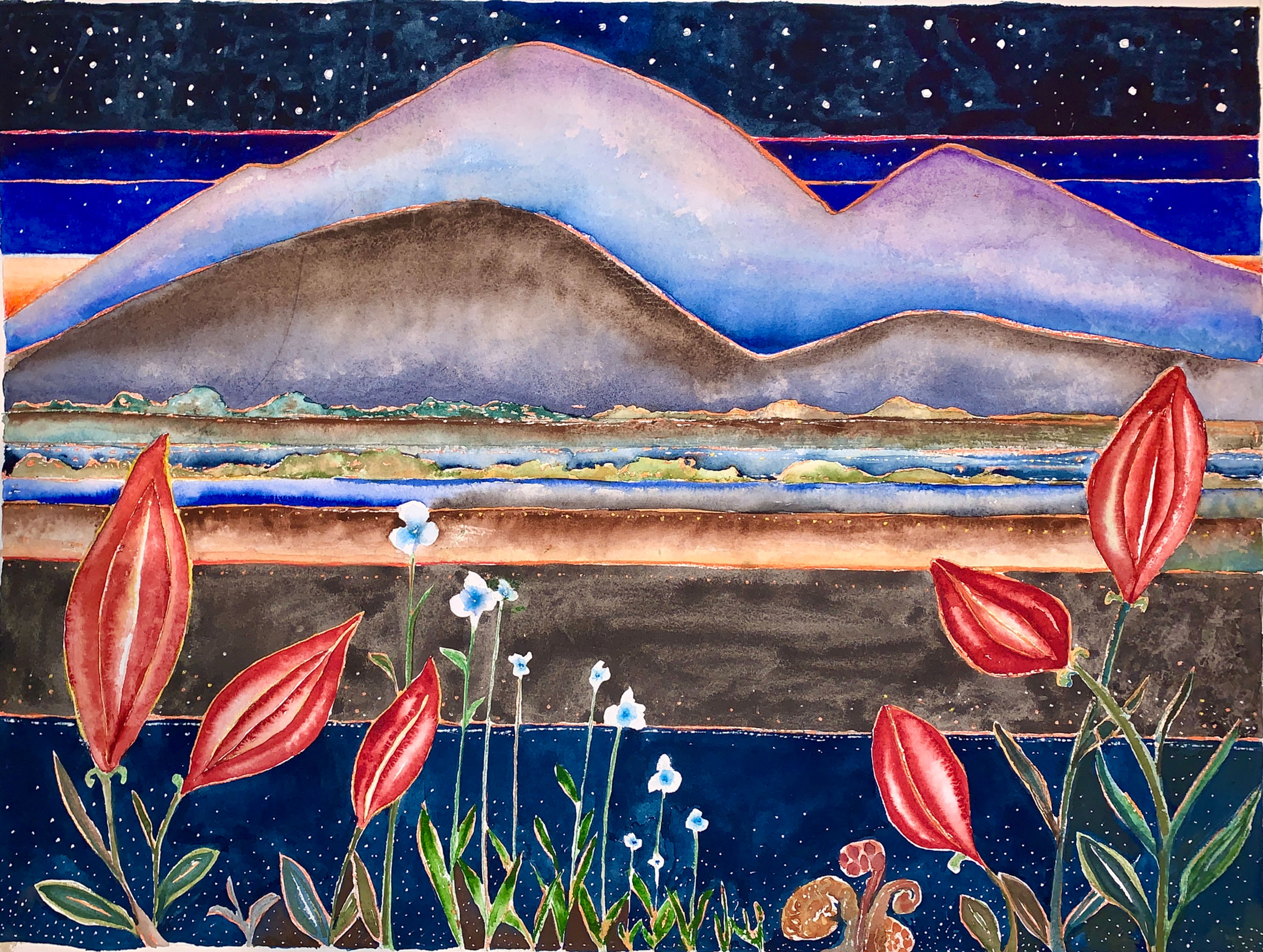 Mystery  Garden - Print