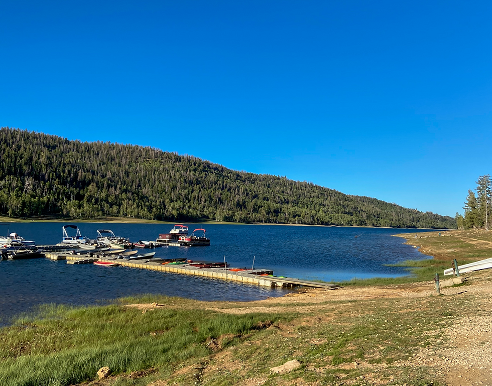 Boat Dock On Navajo Lake