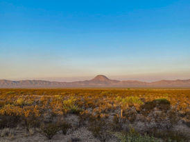 Texas | Ross Maxwell Scenic Drive | Big Bend National Park