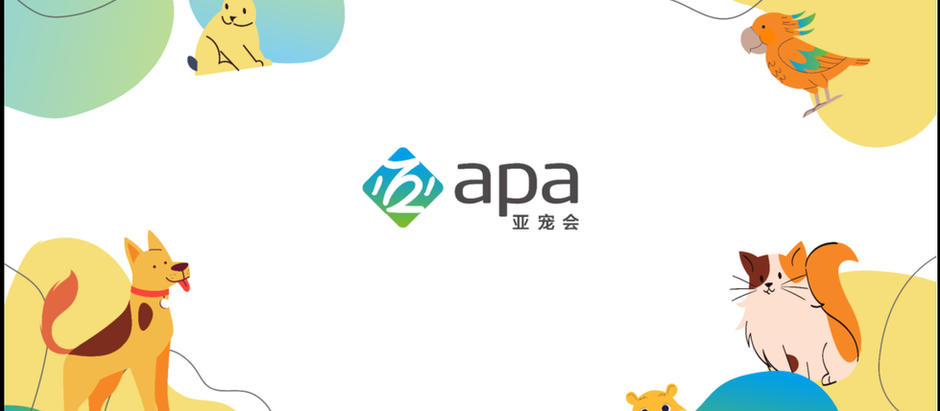 マッチング会　セミナー　プレゼン