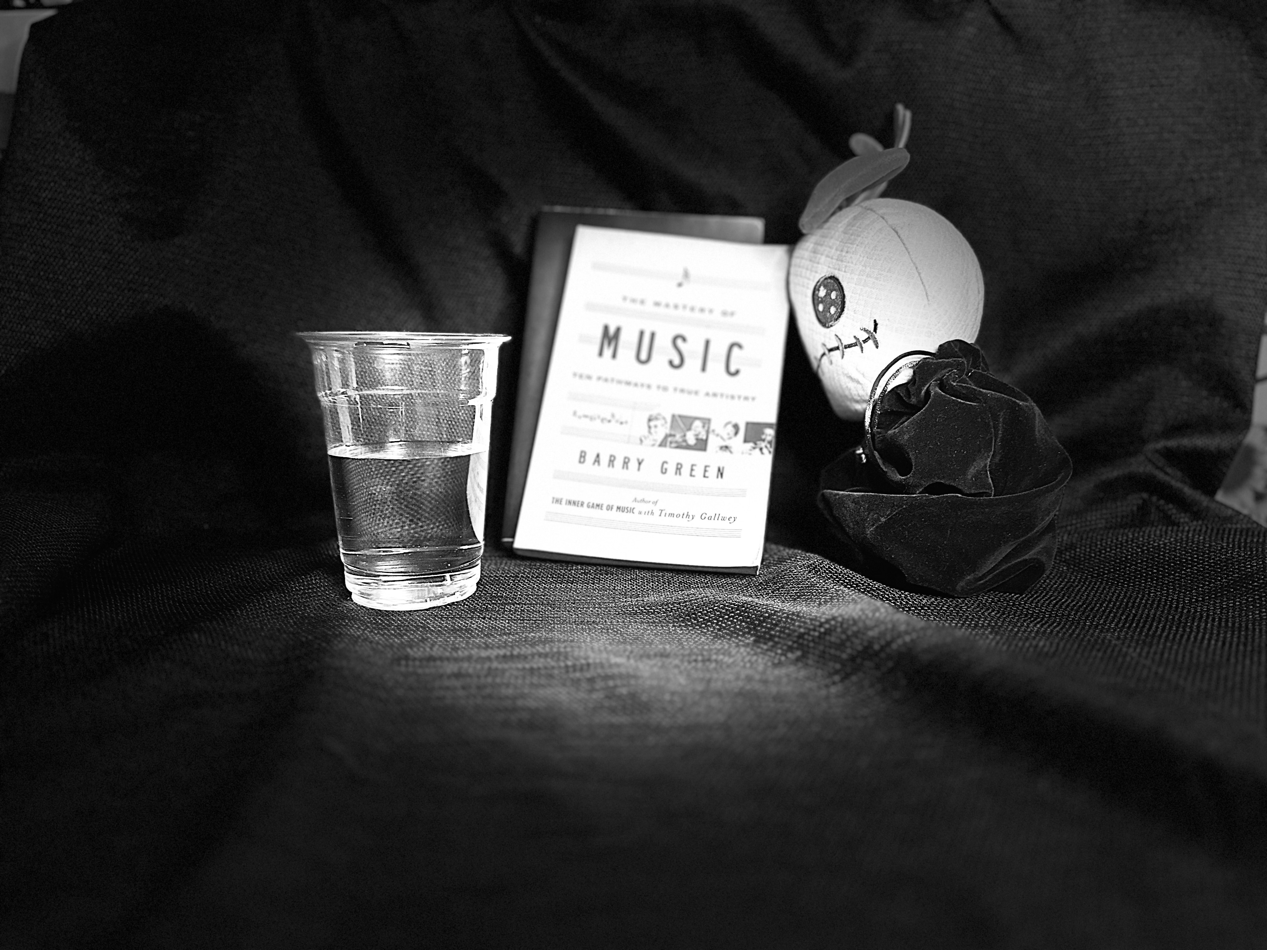 Still Life Photo w_B&Wedits.jpeg