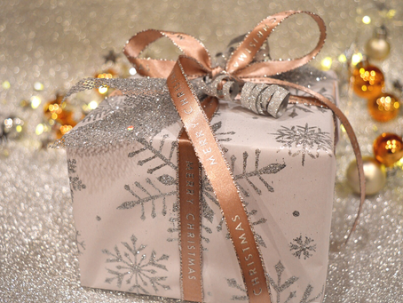 Top 4 Christmas Gifts for Pet Owners