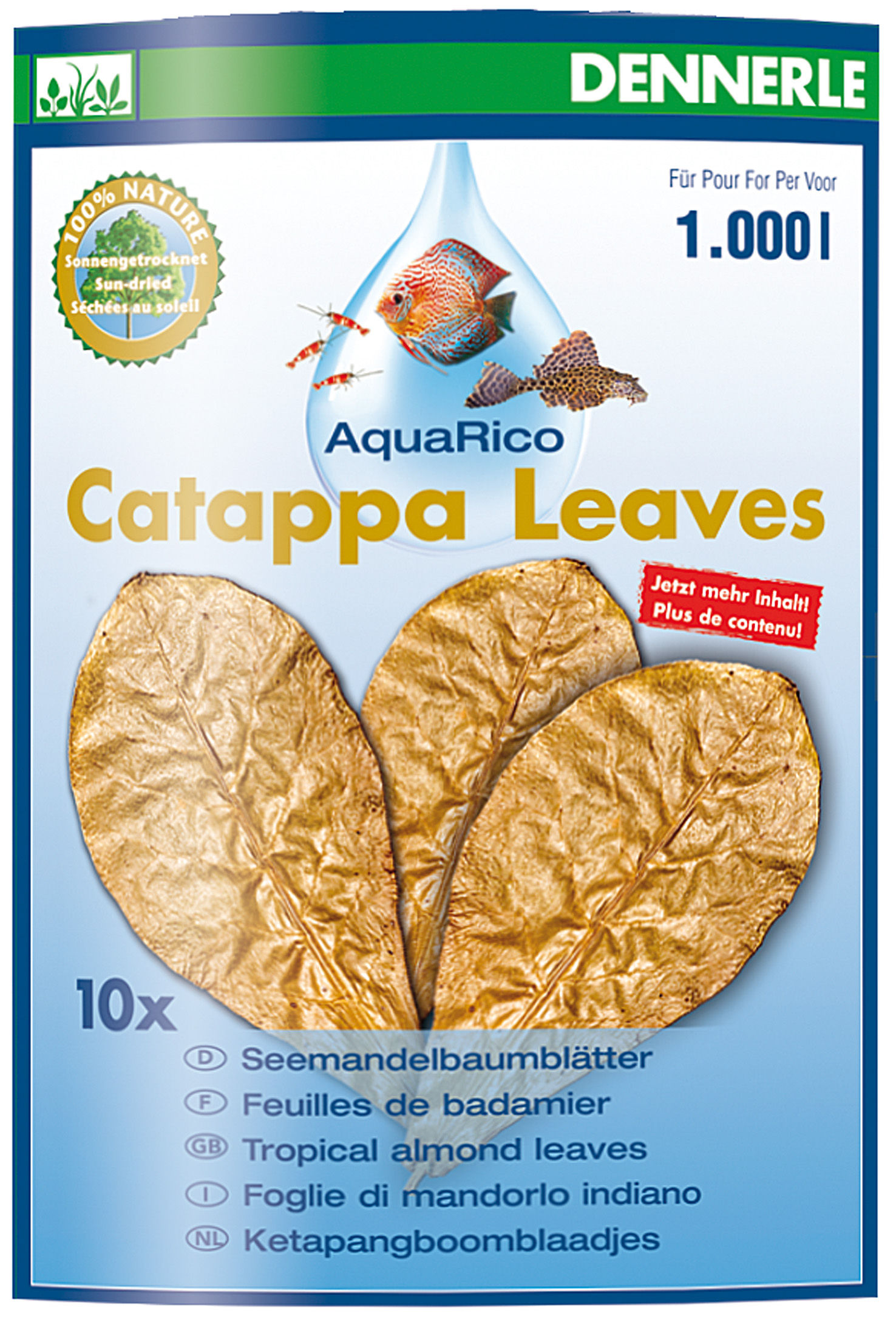 Catappa leaves 10st