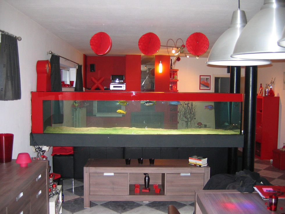 Thumbnail: Aquarium met bioblok filtering