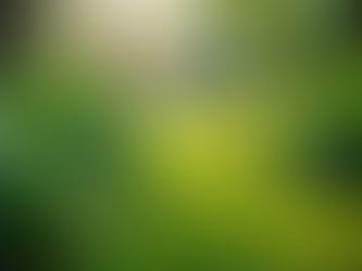 The Importance of Sustainable Living in Today's World