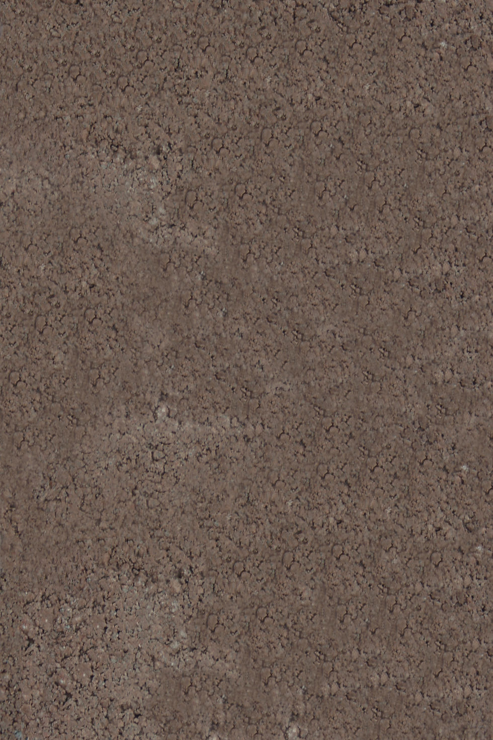 Chocolate, 8051