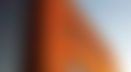 New Members of the Pedagogical Council – Fardilha’s Lab