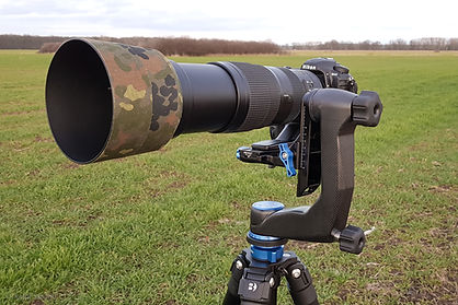 Głowica Benro GH5C - D500 + Nikkor 200-500/5.6VR