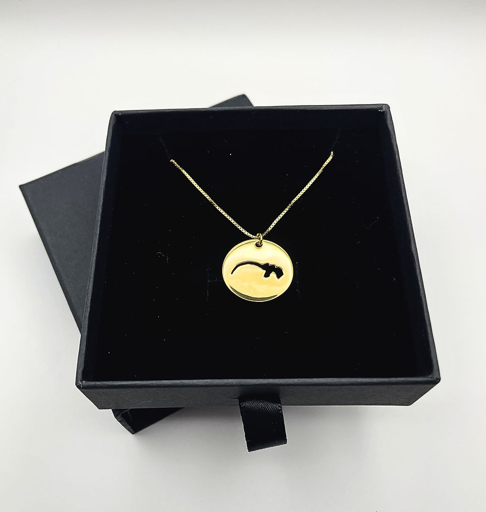 Thumbnail: Ultrasound Facial Necklace