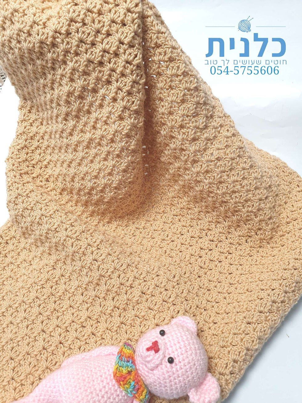 תמונה ממוזערת: כלנית חוטים