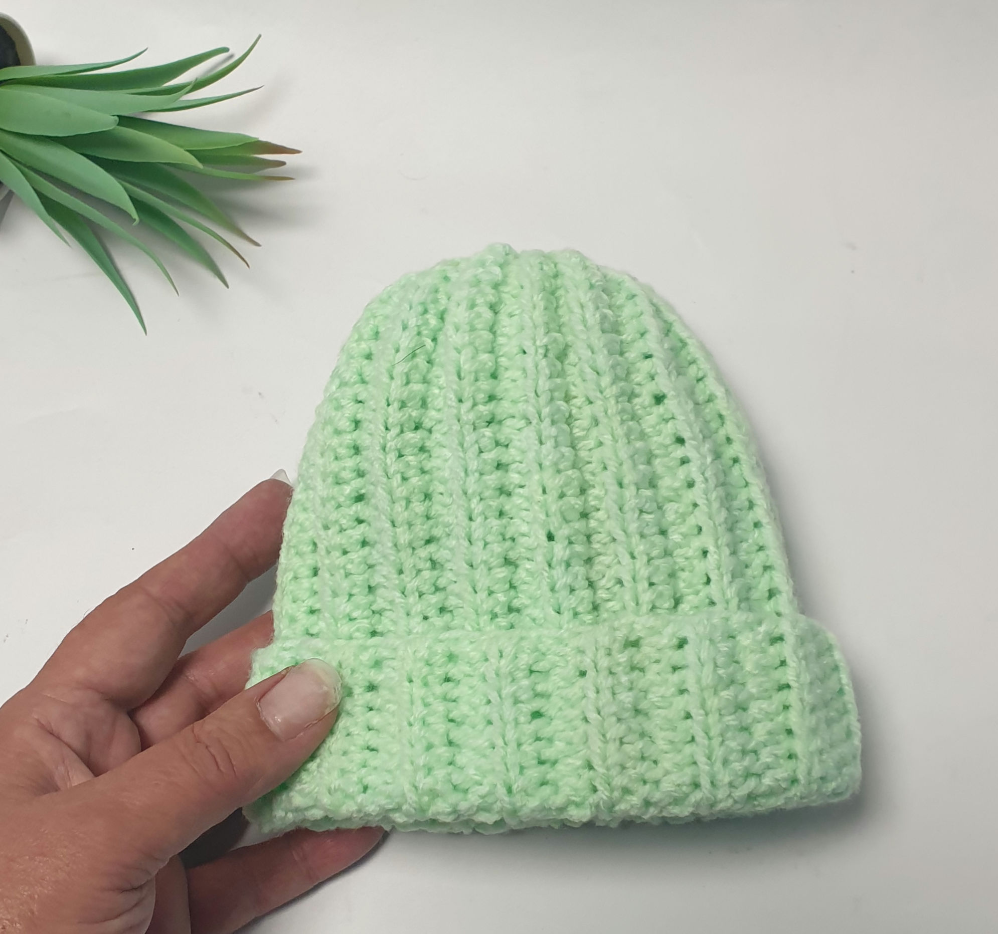 כלנית חוטים