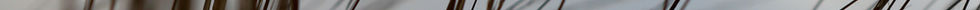 pexels-cottonbro-5771803_5.jpg