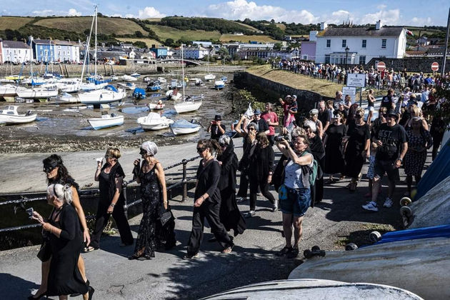 The wailing widows following the mackerel
