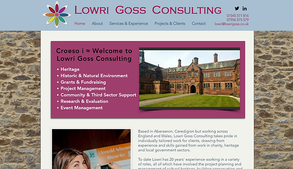Lowri Goss Consulting website