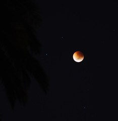 Lunar Eclipse