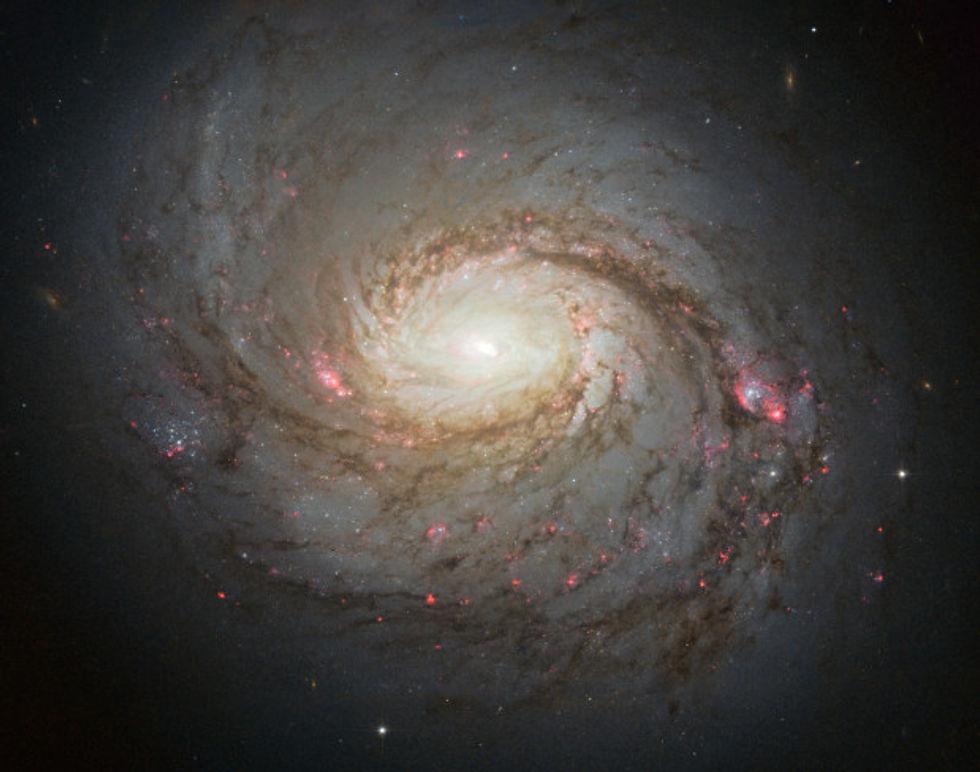 spiralgalaxy