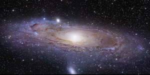 M31
