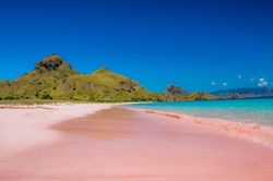 Komodo Island Pink Beach