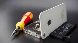 apple.jpeg