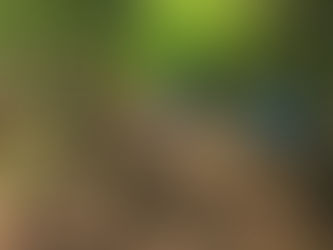 Marina inhabilita tres narcolaboratorios en la sierra de Mocorito tras operativo por aire y tierra