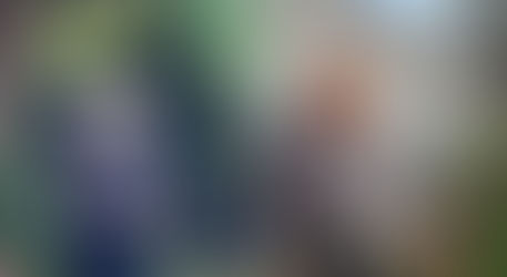 El conmovedor ejemplo de un abuelito en Nayarit que promueve sus plantas con volantes escritos a mano
