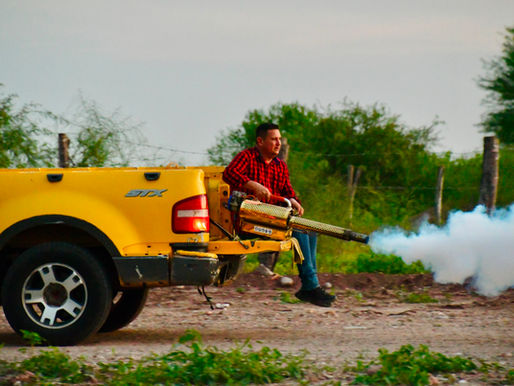 Ayuntamiento de Salvador Alvarado combate plaga de mosquitos en las comunidades