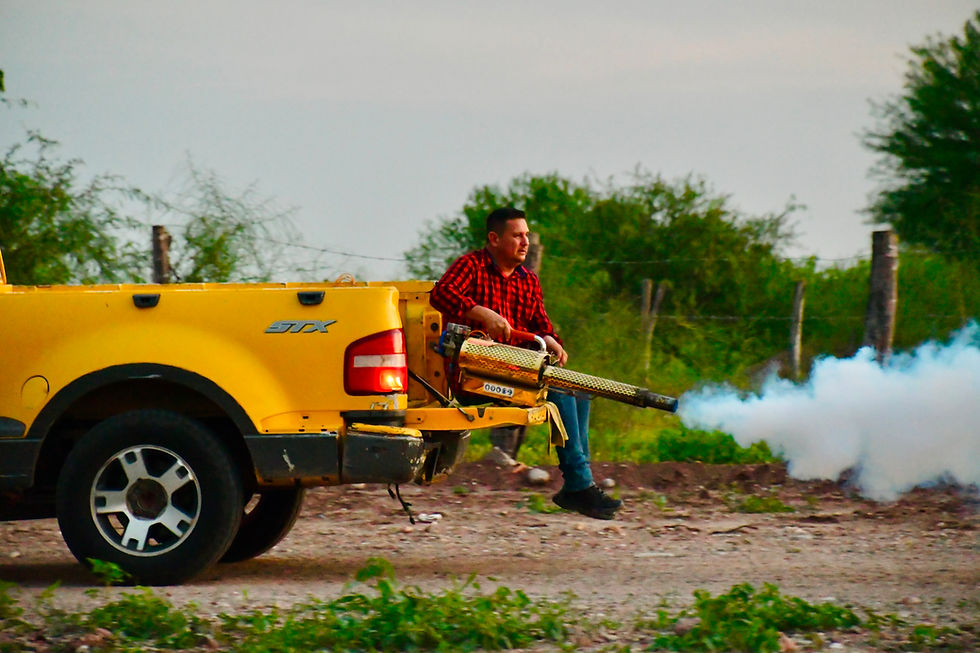 Ayuntamiento de Salvador Alvarado combate plaga de mosquitos en las comunidades