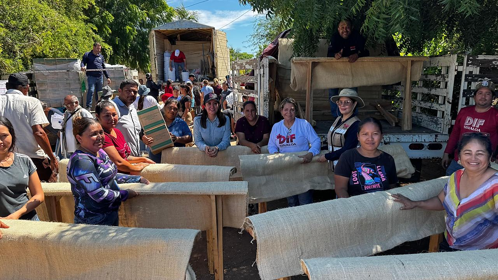 Gobierno del Estado otorga apoyos a 175 familias de La Pitahaya, Guasave