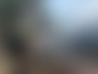 Liberan la autopista Mazatlán–Tepic tras bloqueos; retiran vehículo incendiado en la libre