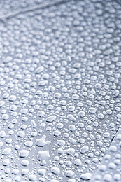 Pentylene Glycol