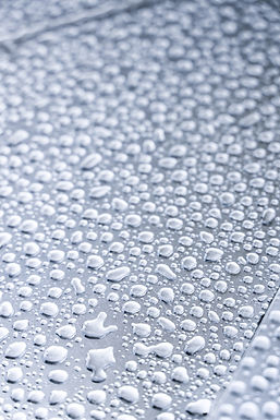 Pentylene Glycol