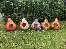 Gourds May 22, 2021