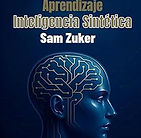 APRENDIZAJE INTELIGENCIA SINTÉTICA